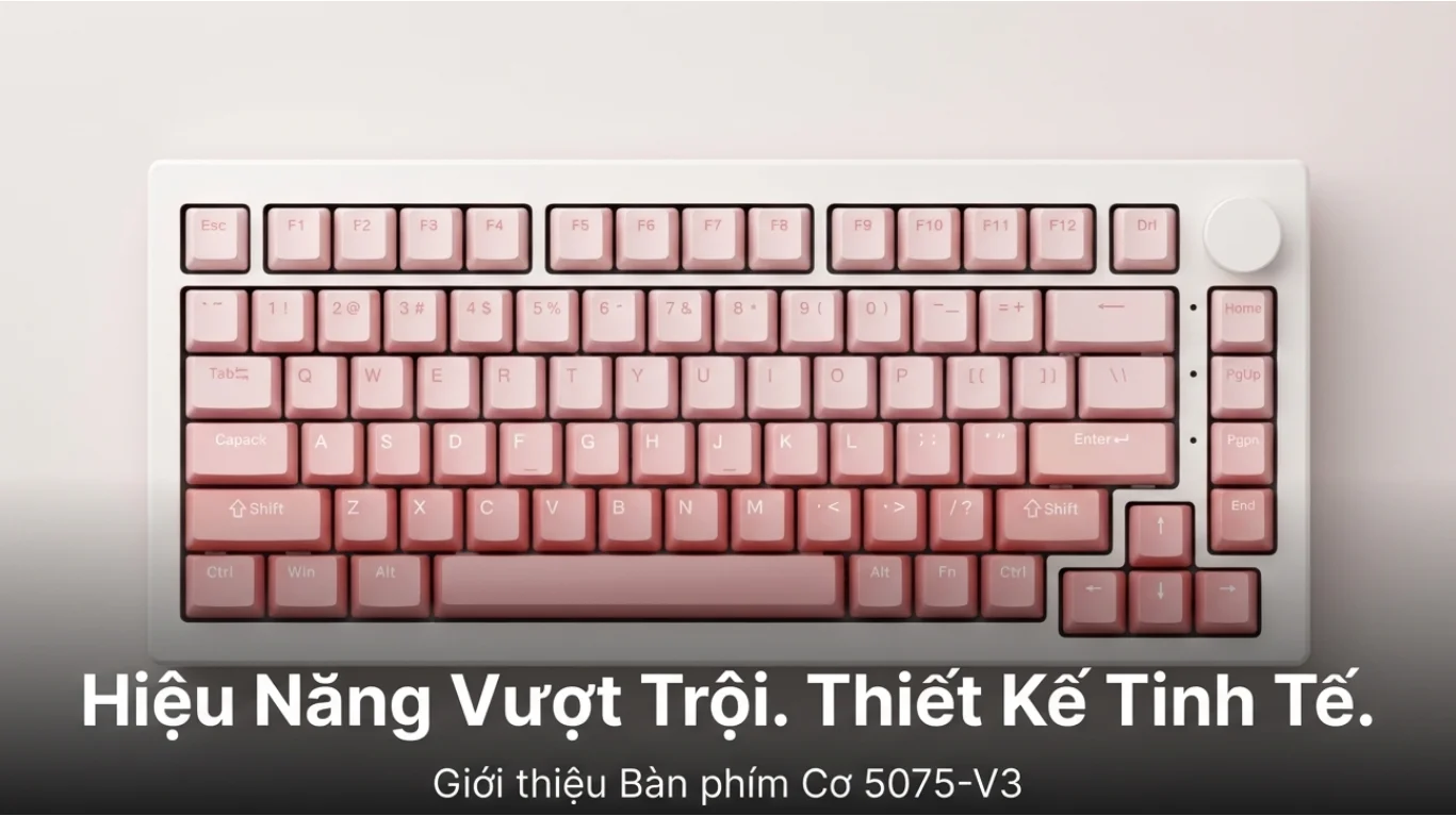 Bàn phím cơ AKKO 5075 V3 White&Pink Gradient