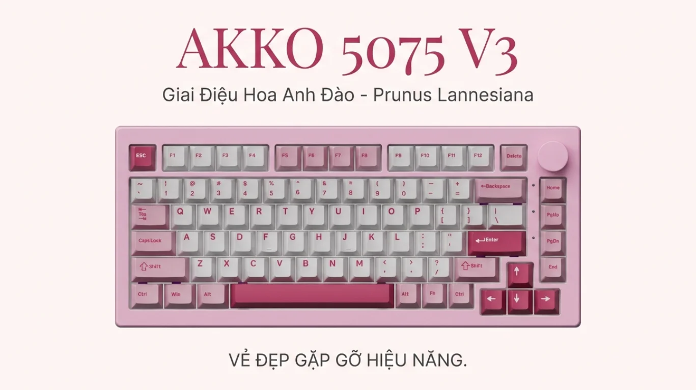 Bàn phím cơ AKKO 5075 V3 Prunus Lannesiana