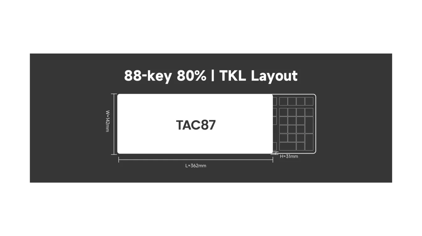 Bàn phím cơ AKKO TAC87 Black&Gold Mirror Switch (USB Type-C) - 1 Mode