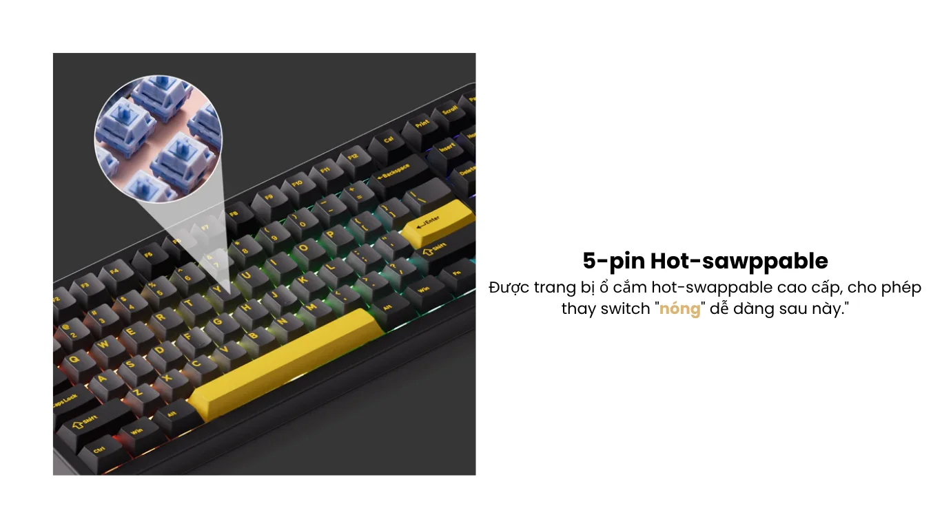 Bàn phím cơ AKKO TAC87 Black&Gold Mirror Switch (USB Type-C) - 1 Mode