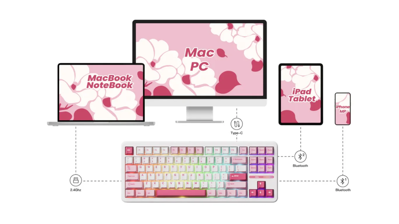 Bàn phím cơ AKKO TAC87 Prunus Lannesiana Stellar Rose Switch - 3 Mode