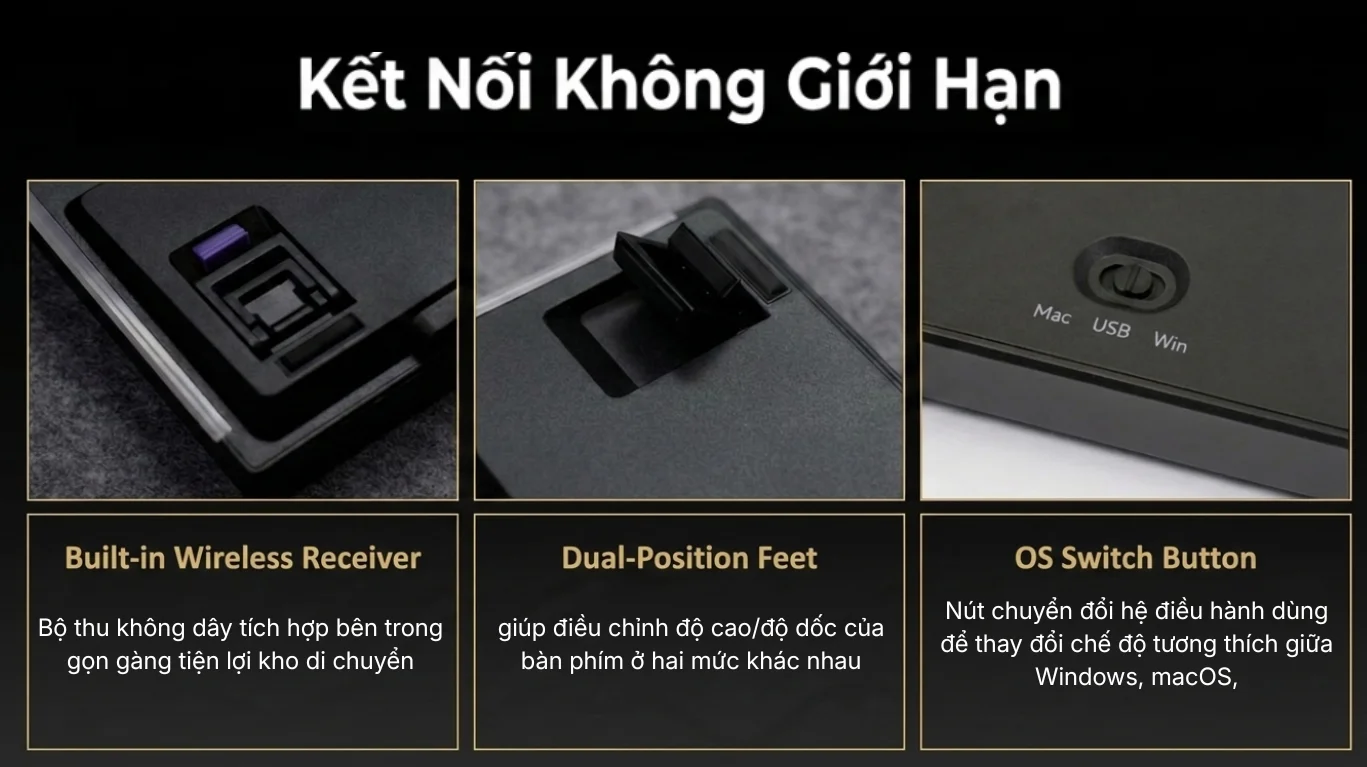 Bàn phím AKKO 5087 V3 Black&Gold (Bluetooth5.0/2.4GHz/USB Type-C/Hotswap/Switch Piano V3 Pro)