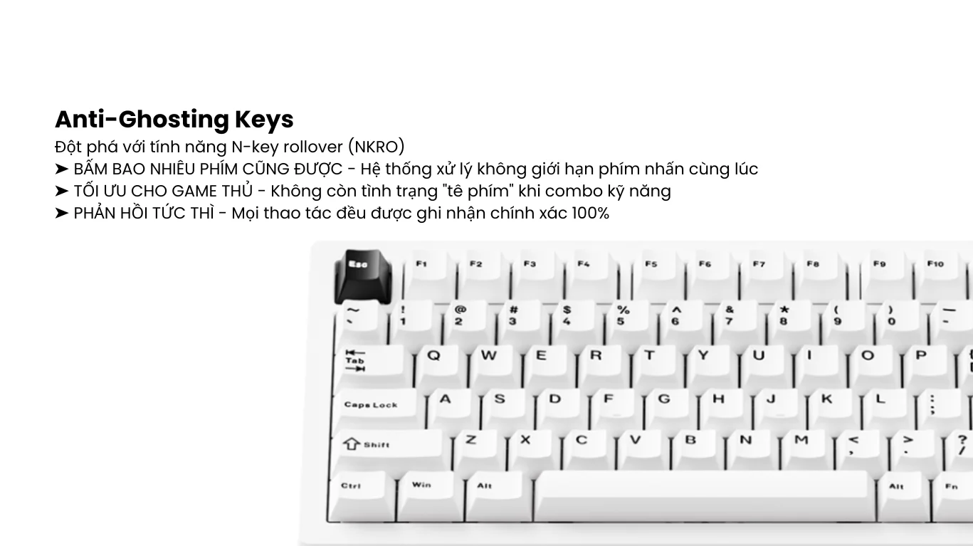 Bàn phím cơ MonsGeek M1 V5 Black on white Mirror Switch