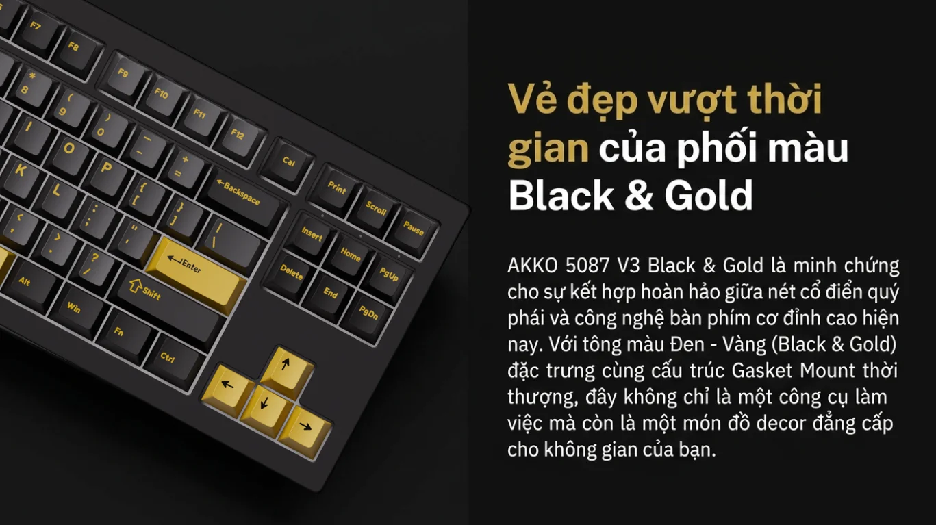 Bàn phím AKKO 5087 V3 Black&Gold (Bluetooth5.0/2.4GHz/USB Type-C/Hotswap/Switch Piano V3 Pro)