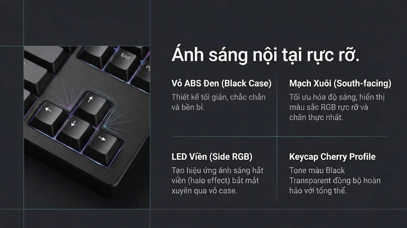 Bàn phím AKKO 5087 V3 Transparent (Bluetooth5.0/2.4GHz/USB Type-C/Hotswap/Akko V3 Piano Pro)