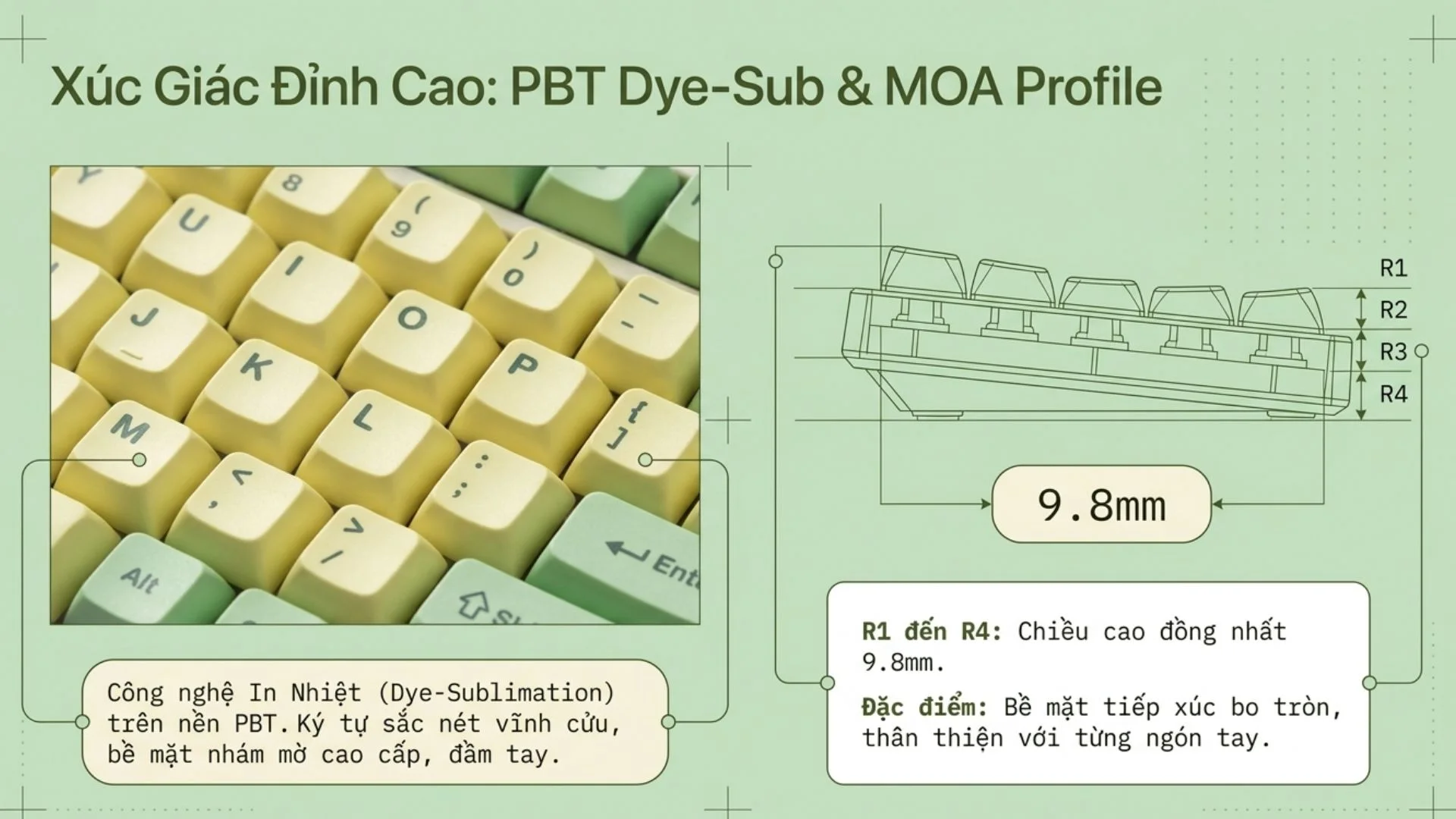 Bàn phím cơ AKKO 5075 V5 KeroKero Keroppi