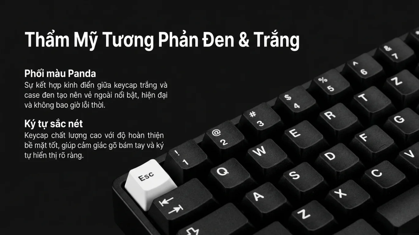 Bàn phím cơ AKKO 5075S Black&Silver (Hotswap/Led RGB/USB Type-C)