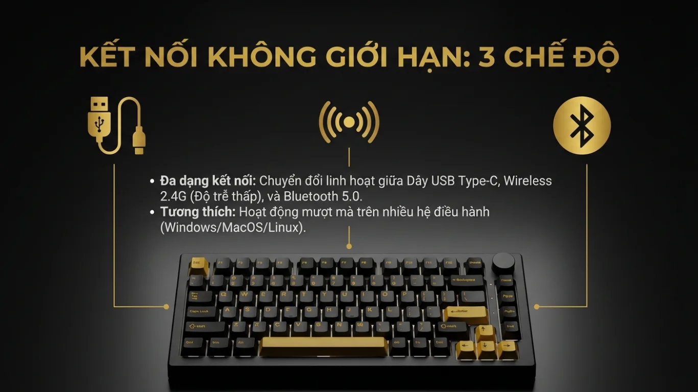 Bàn phím cơ AKKO 5075 V3 Black&Gold (USB Type-C, 2.4G / Bluetooth - Mạch Xuôi)