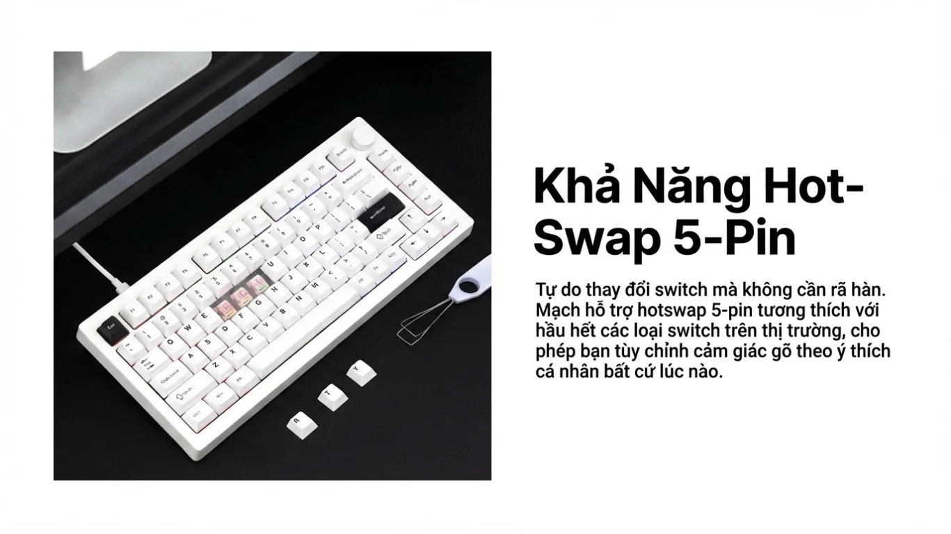 Bàn phím cơ AKKO 5075S Black on White (Hotswap/Led RGB/USB Type-C)