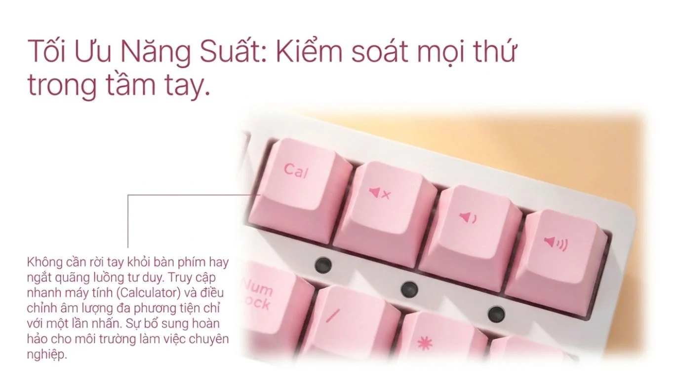 Bàn phím cơ AKKO 3108RF V3 Prunus Lannesiana (2.4GHz / USB Type-C, No LED, No Hotswap)