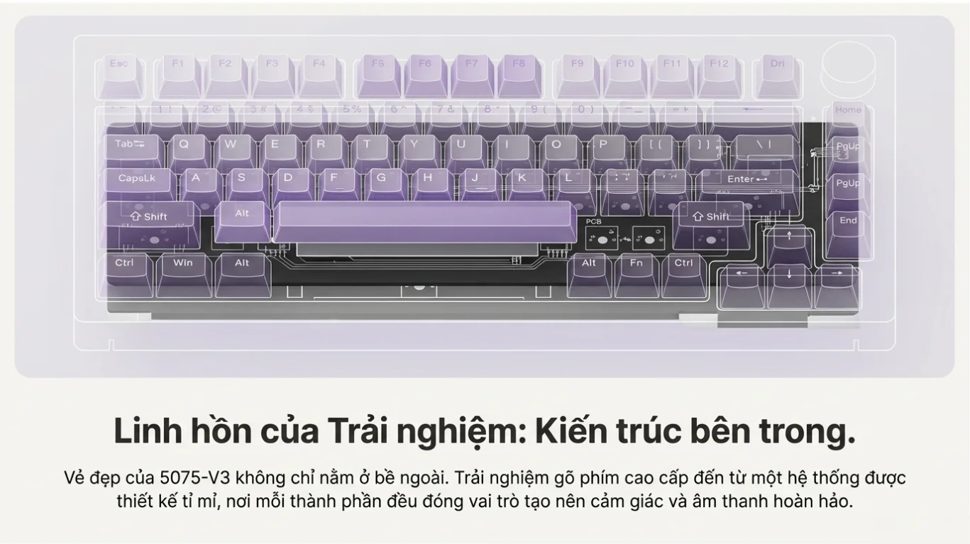 Bàn phím cơ AKKO 5075 V3 White&Purple Gradient