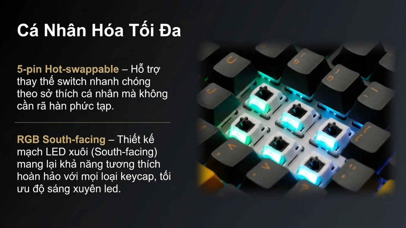 Bàn phím AKKO 5087 V3 Black&Gold (Bluetooth5.0/2.4GHz/USB Type-C/Hotswap/Switch Piano V3 Pro)
