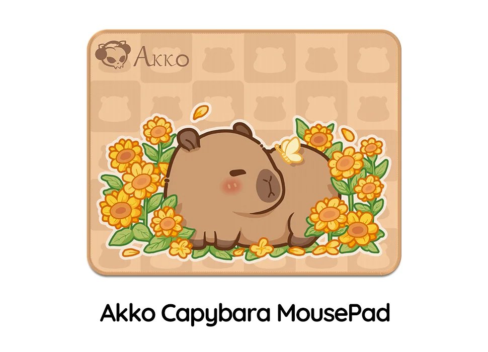 Bàn di Akko Capybara