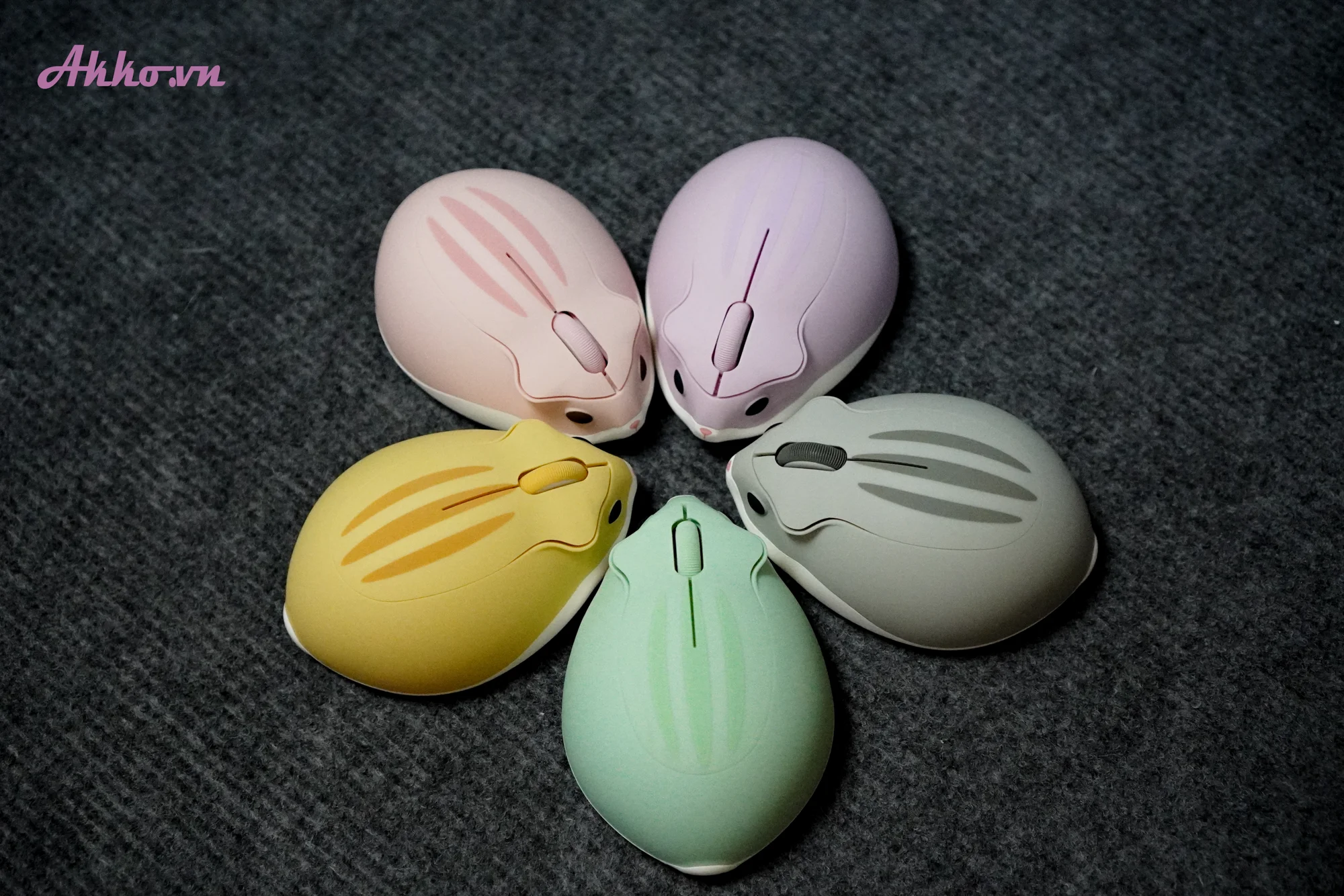 Mở hộp chuột Akko X Hamster Wireless chính hãng