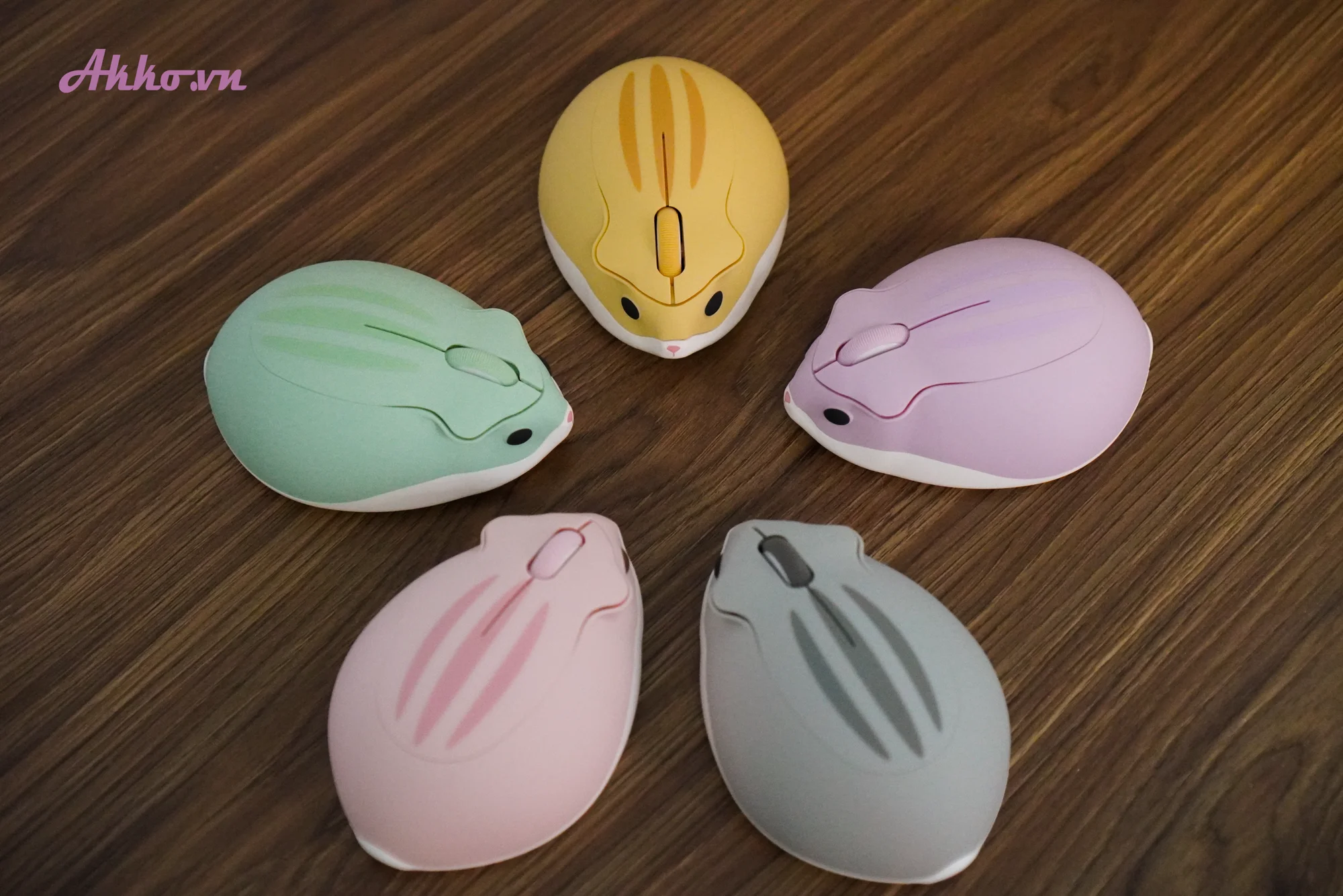 Mở hộp chuột Akko X Hamster Wireless chính hãng