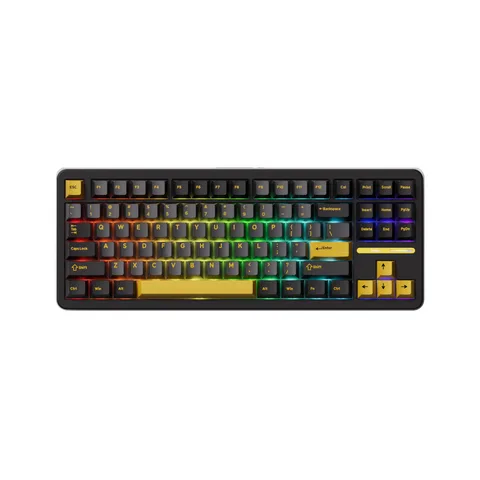 Bàn phím cơ AKKO TAC87 Black&Gold Mirror Switch (USB Type-C) - 1 Mode