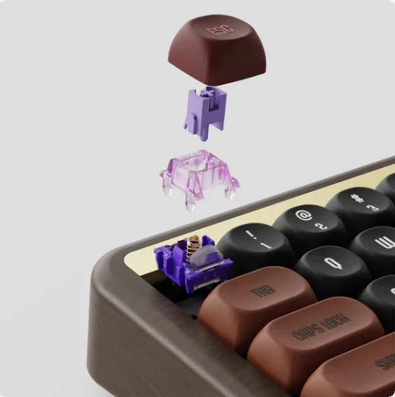 Bàn phím cơ AKKO MU01 Autumn (Hotswap,RGB / Multi-Modes/ Akko X TTC Demon Switch)