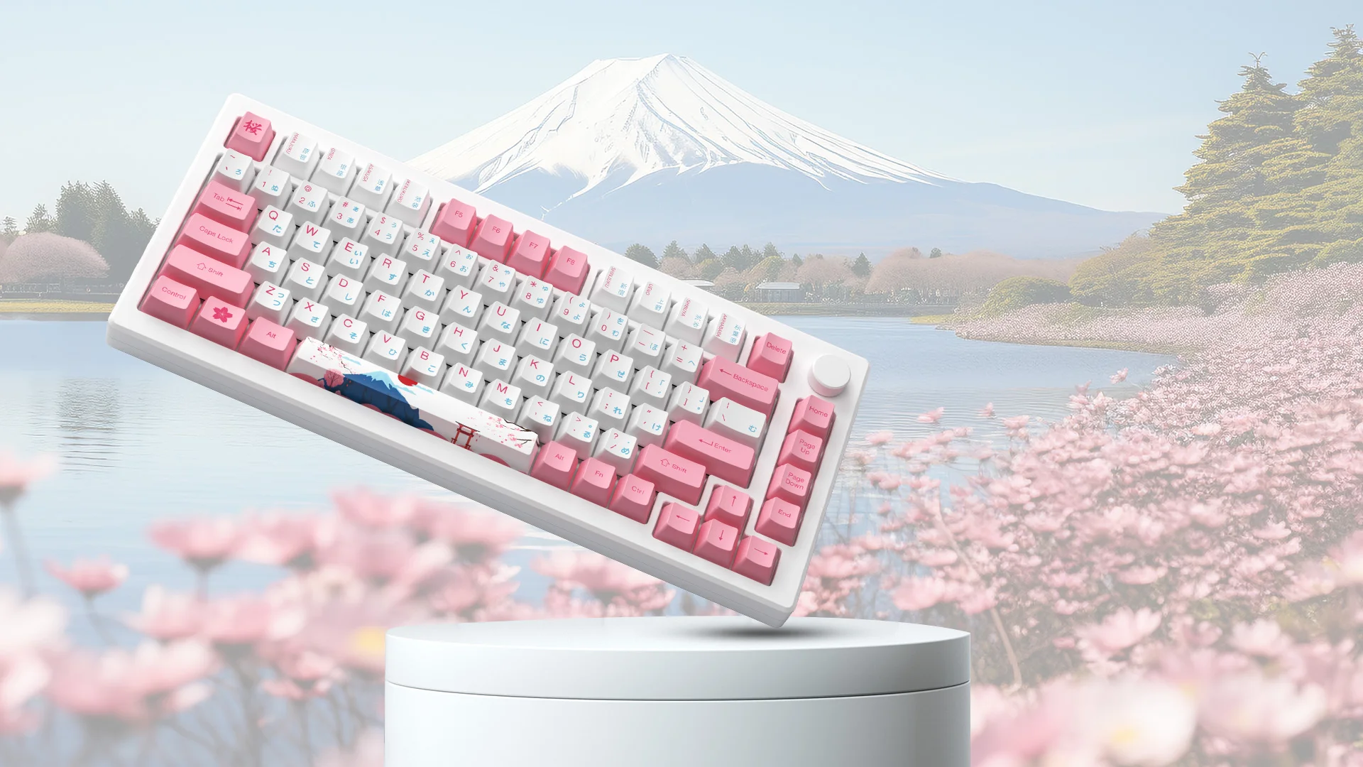 Tặng kèm dây cáp - Bàn phím AKKO MOD007B-HE PC Tokyo Sakura Pink Magnetic Switch