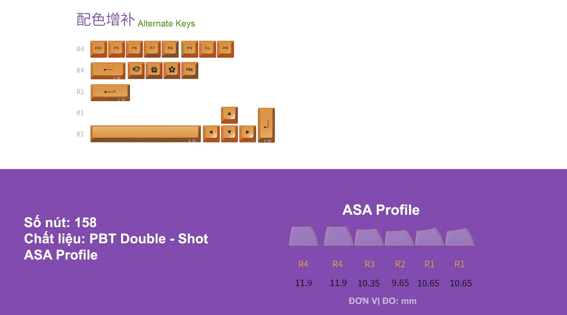 AKKO Keycap set EVA-01 (PBT Double-Shot/ASA profile/158 nút)