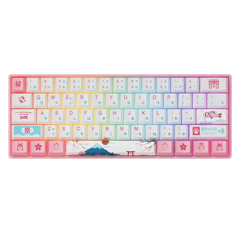 Bàn phím cơ AKKO 3061 World Tour Tokyo R2 RGB (Gateron switch / Pre-Lubed)