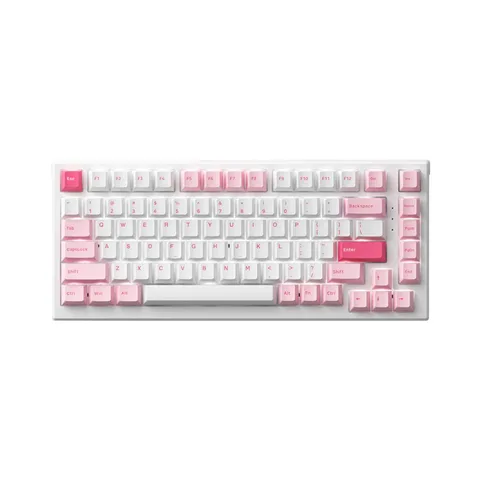 Bàn phím cơ MonsGeek MG75 Prunus Lannesiana (White LED / AKKO sw v3)