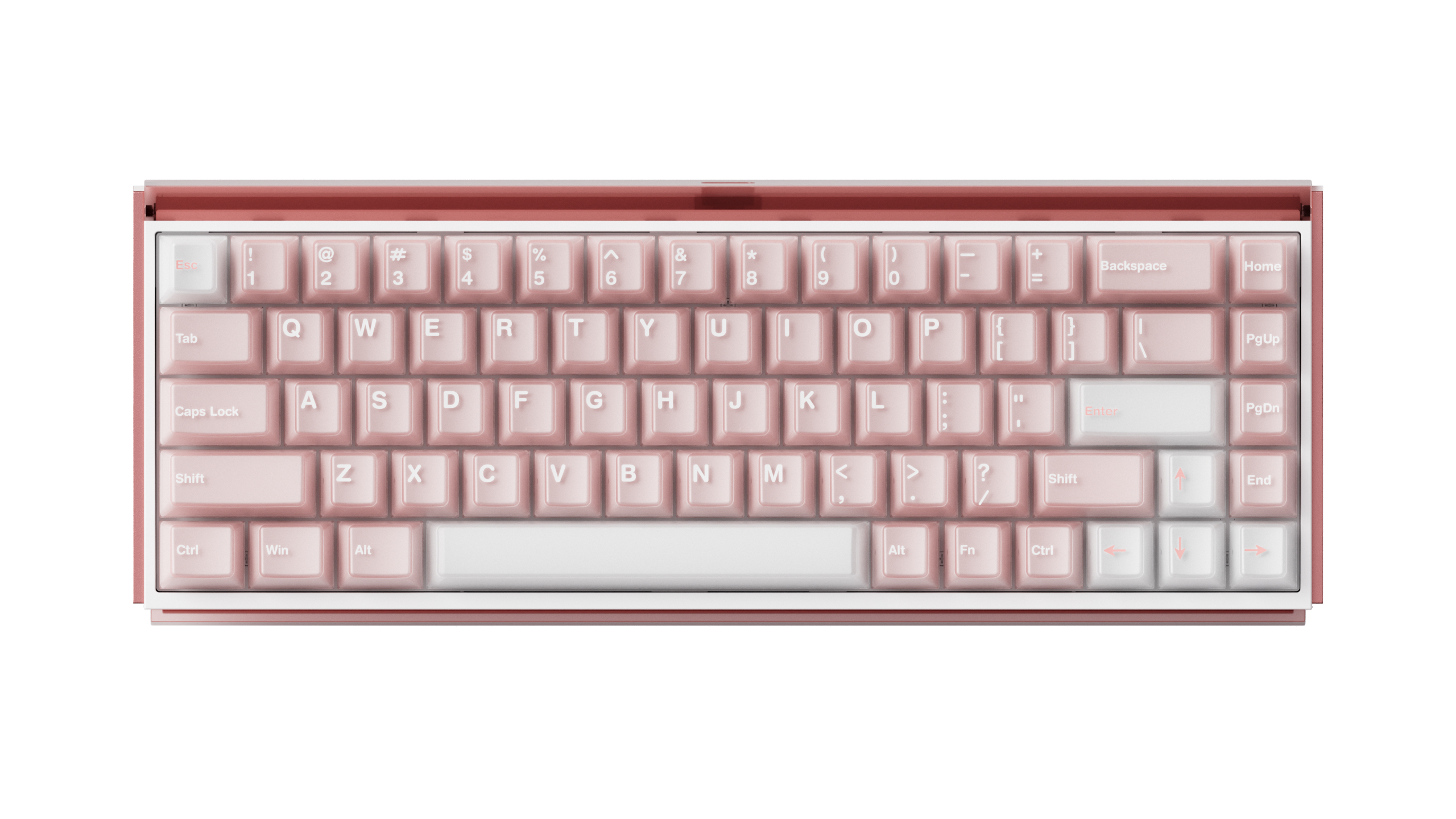 Ban-phim-co-AKKO-Ray68-Misty-pink&white